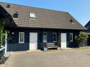 Ferienhaus mit Sauna, Zingst
